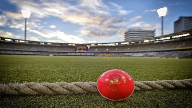 Pink Ball Test  India