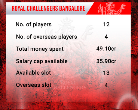 Royal Challengers Bangalore IPL